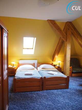 Отели типа «постель и завтрак» Willa Olimp Retro Шклярска-Поремба Большой двухместный номер с 1 кроватью-2