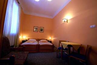 Отели типа «постель и завтрак» Willa Olimp Retro Шклярска-Поремба Двухместный номер с 1 кроватью-5